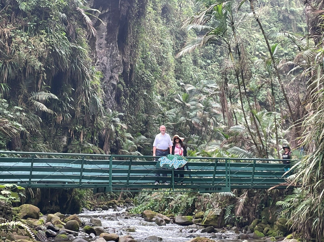 Catarata Río Agrio景点图片