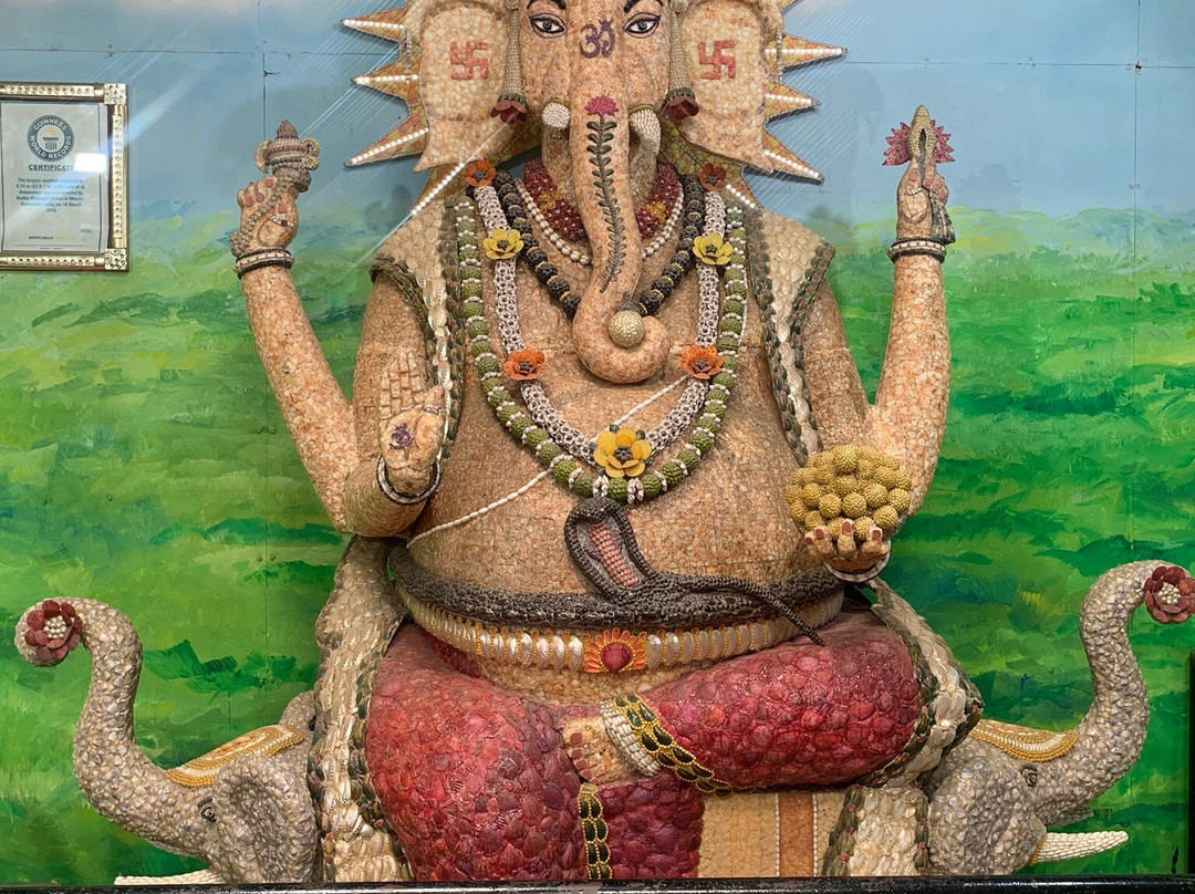 Sea Shell Museum-迈索尔必去景点