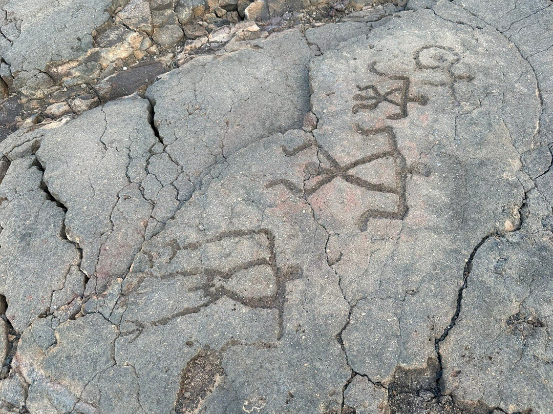 Waikoloa Petroglyph Preserve景点图片