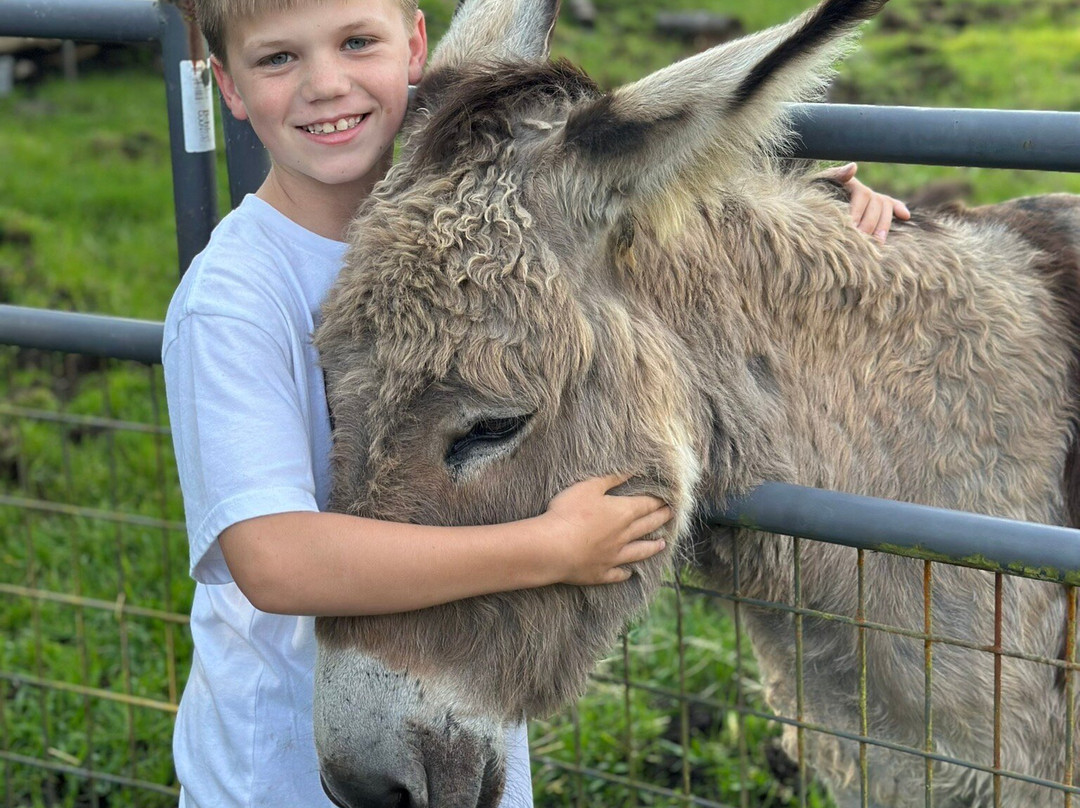 Volcano Acres Ranch Bed & Breakfast主图