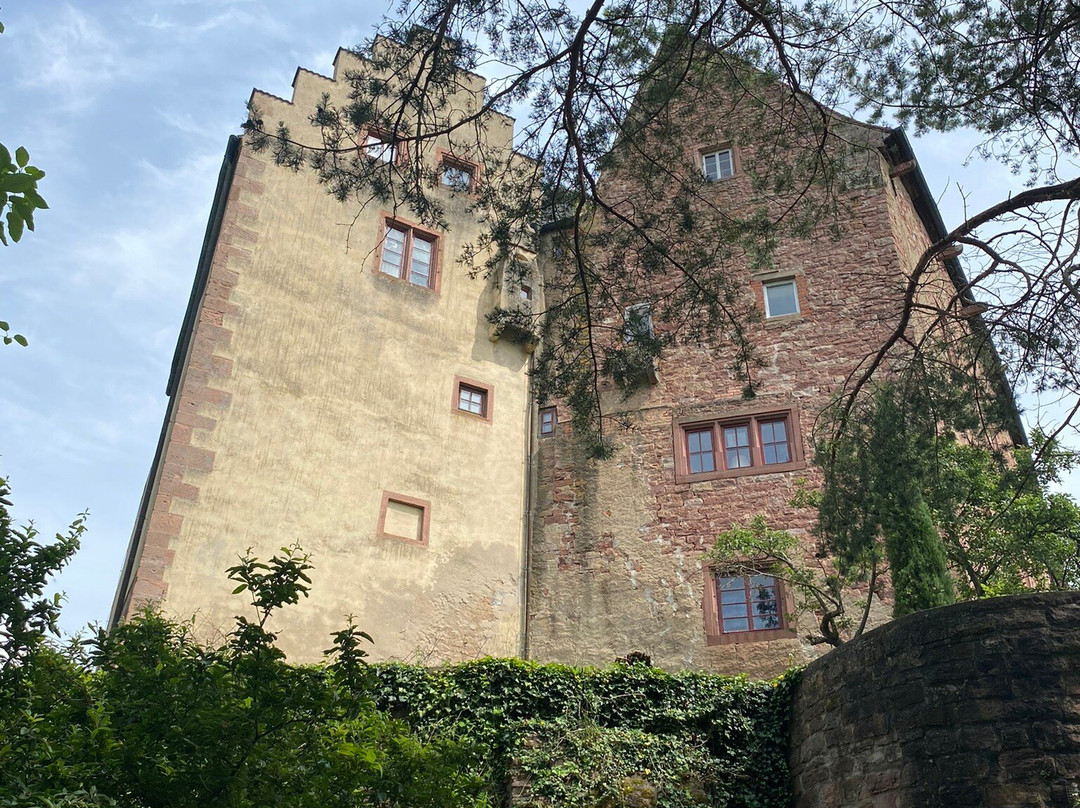 Burg und Burgpark Gamburg景点图片