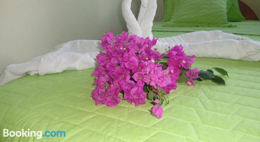 Hostal Casa Cascada主图