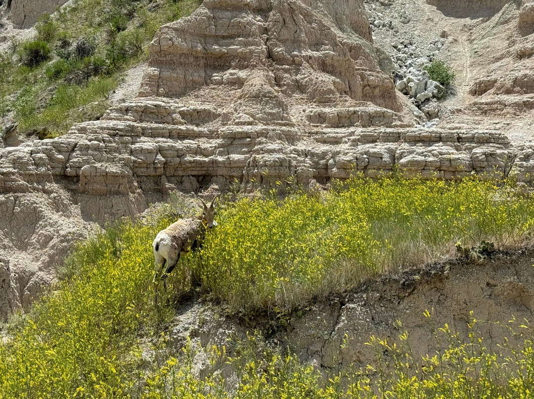 Notch Trail景点图片