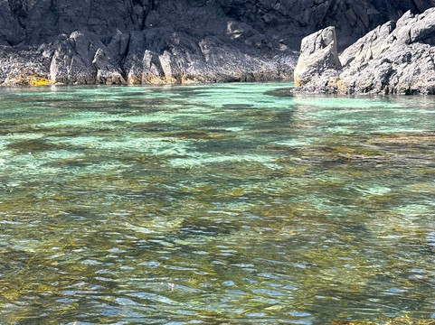 Sitka Wild Coast Kayaks-锡特卡必去景点