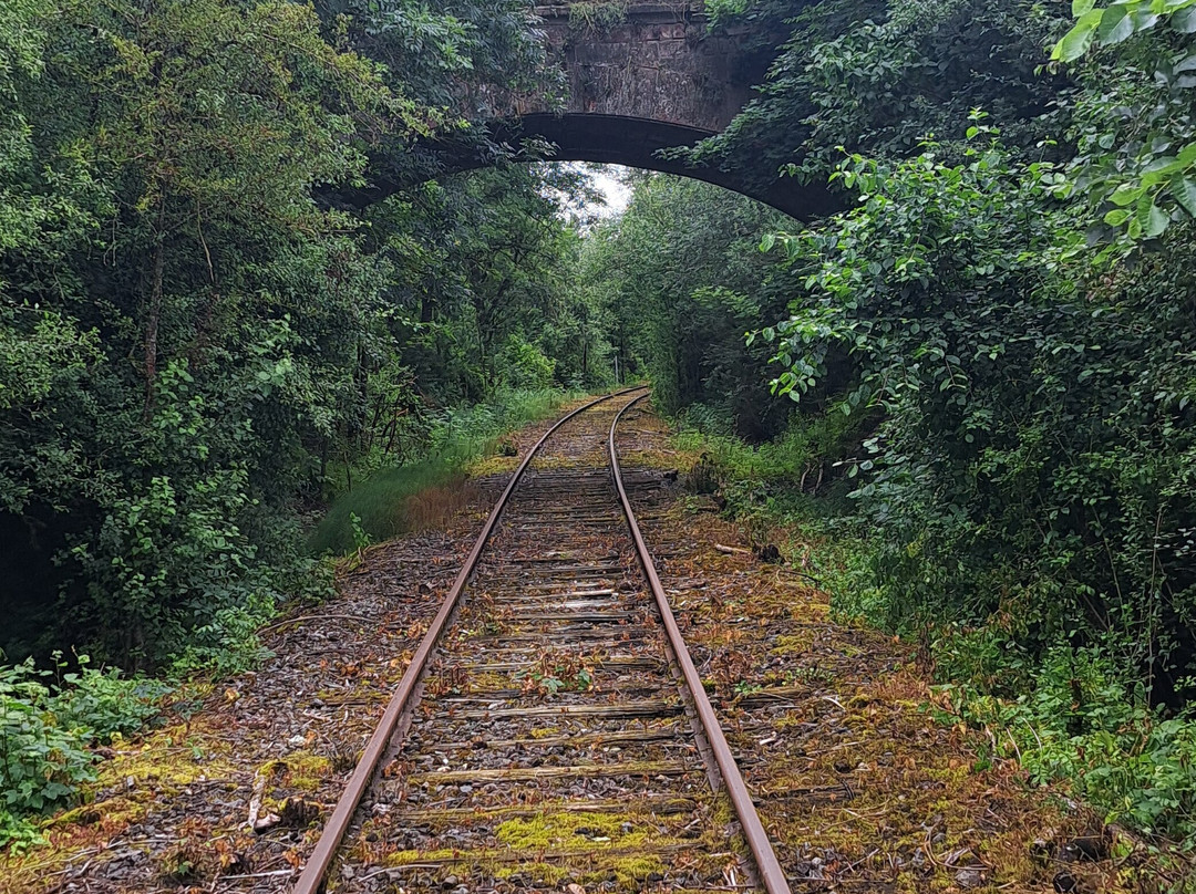 Vélorail Vallée Du Spin景点图片