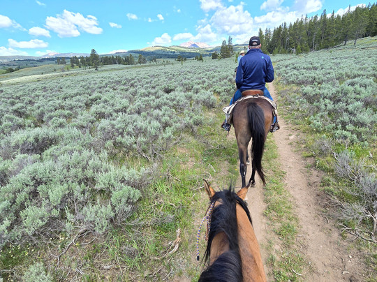 Yellowstone Rough Riders-西黄石镇必去景点