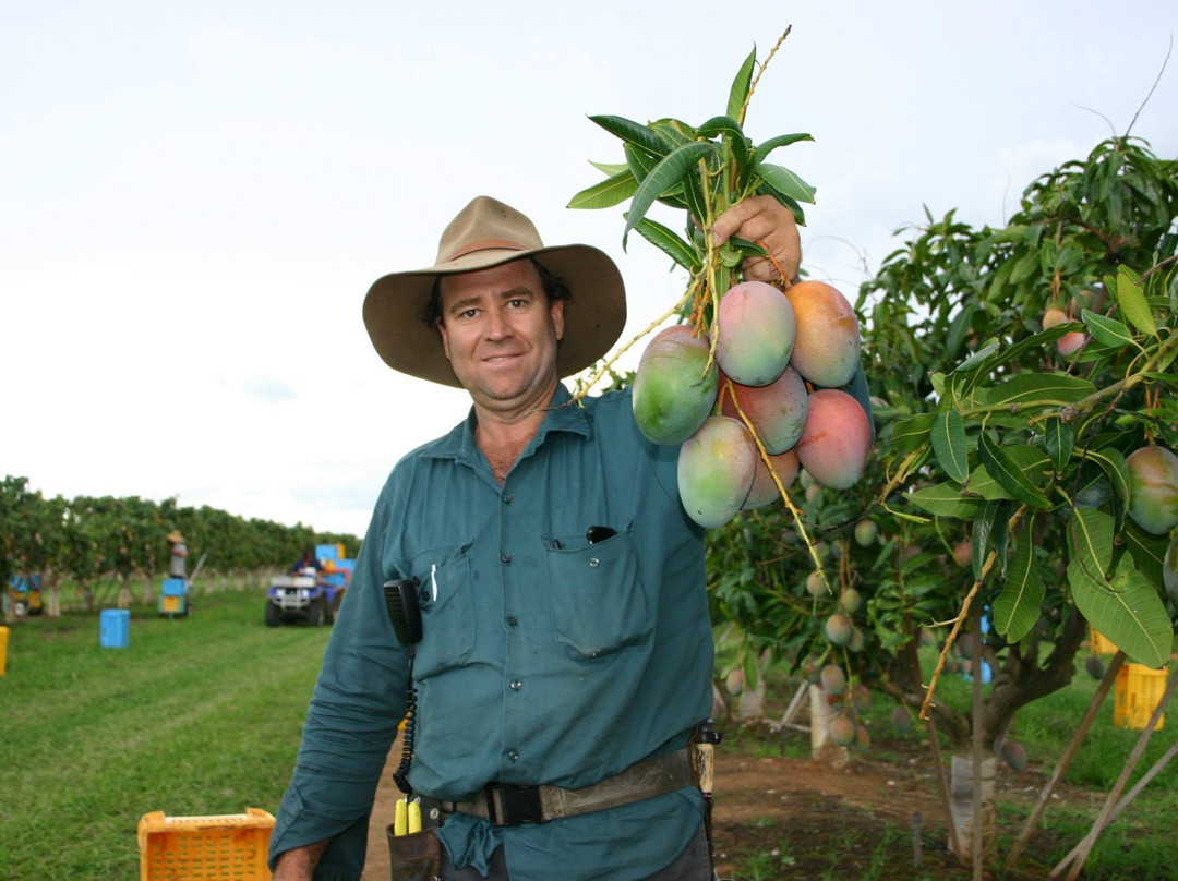 Golden Drop Mango Winery-Biboohra必去景点