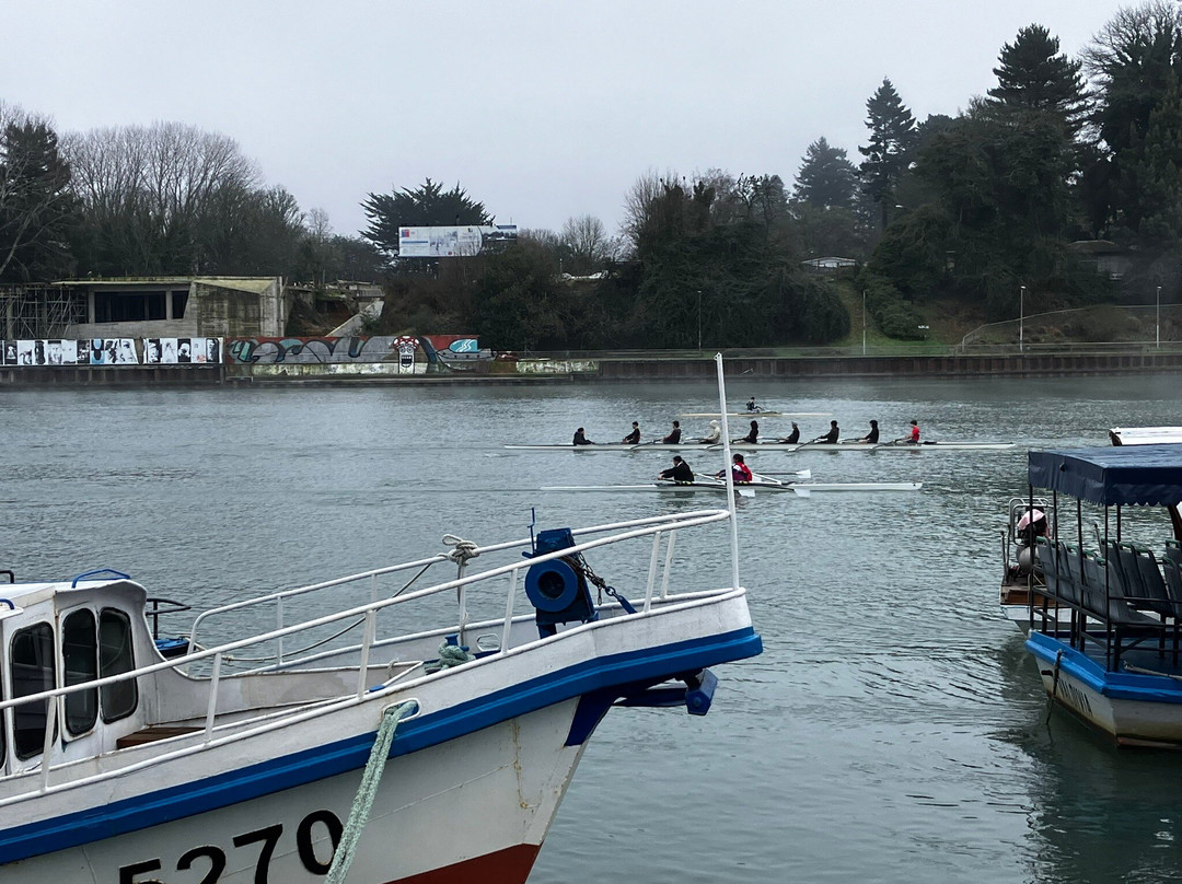 Feria Fluvial de Valdivia-瓦尔迪维亚必去景点