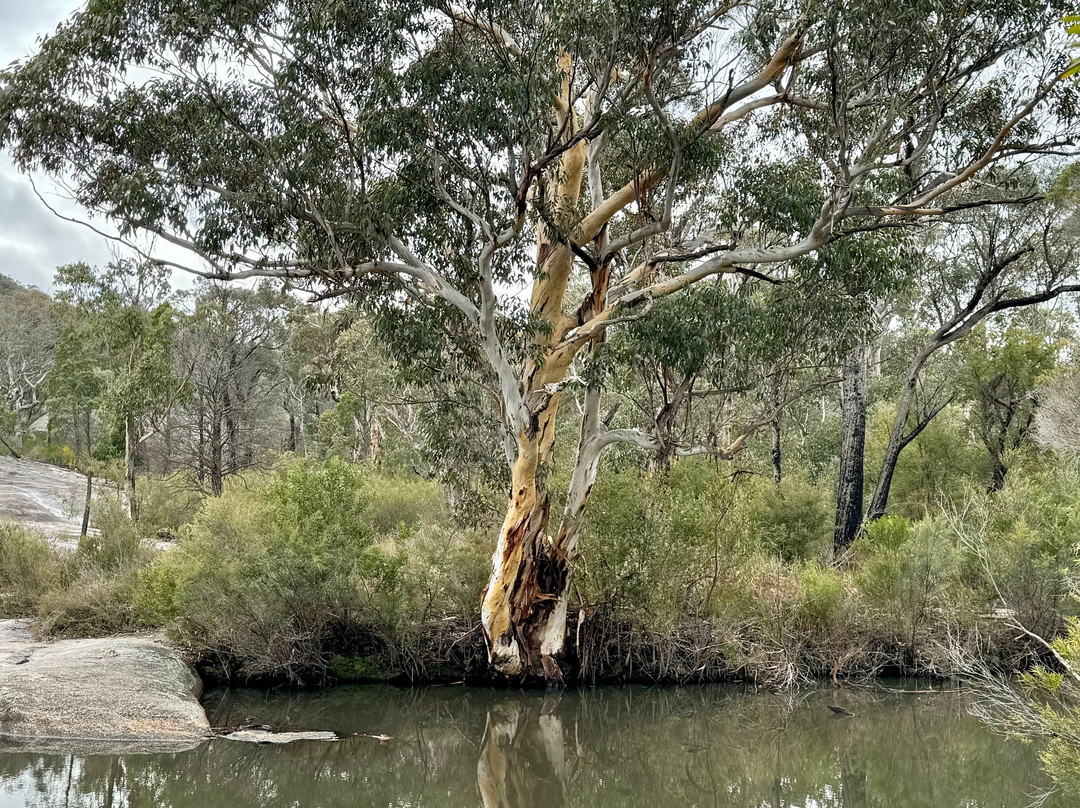 Girraween National Park景点图片
