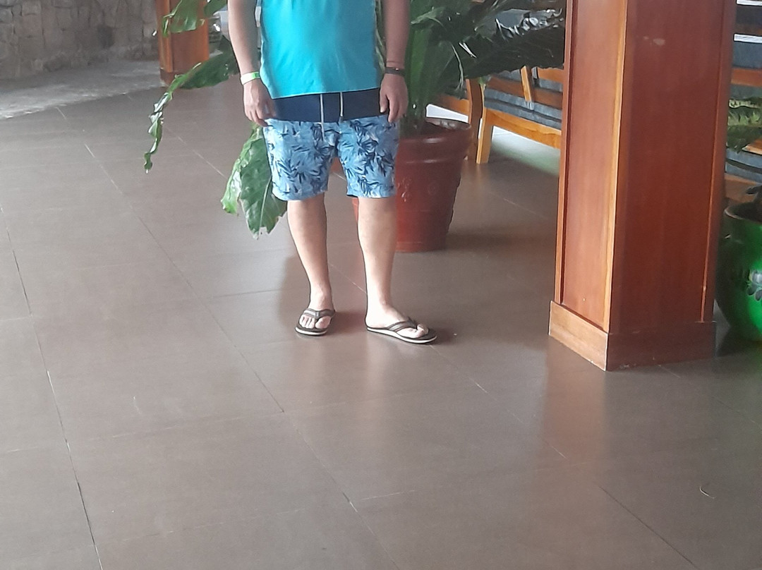 Amapola Resort主图