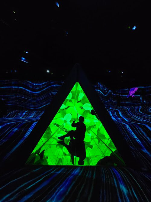 teamLab Forest景点图片