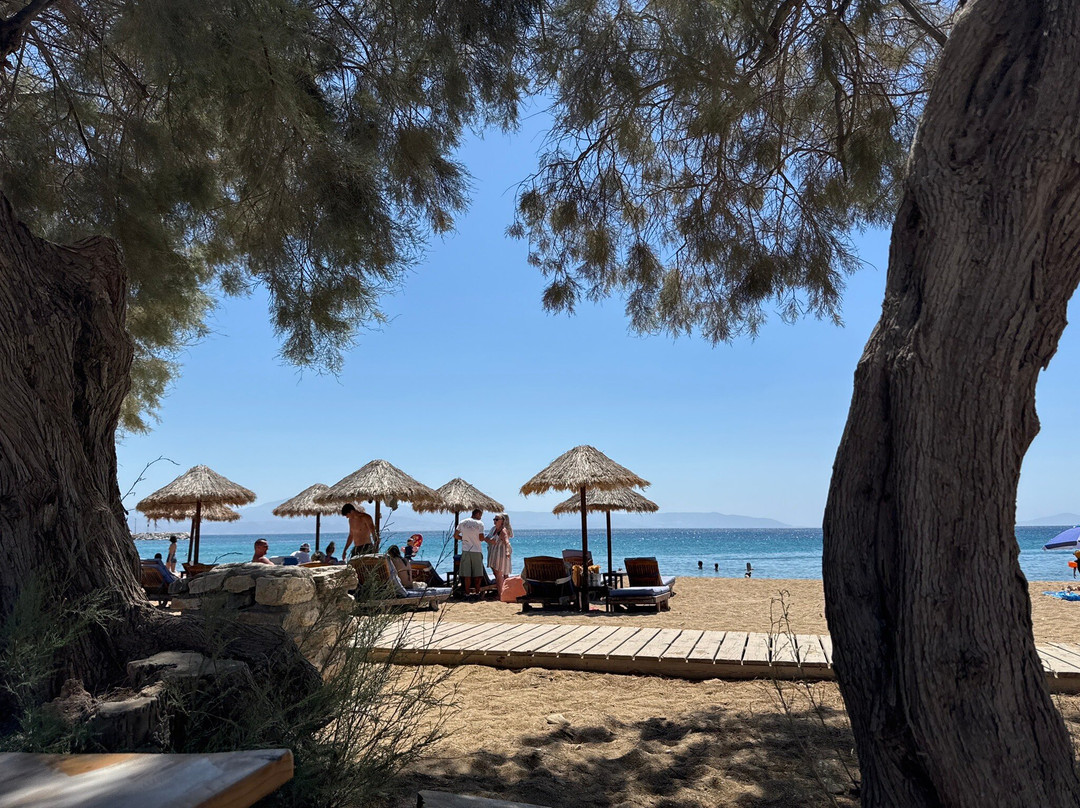 Cactus Beach Paros主图