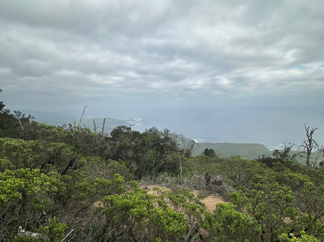 Fray Jorge National Park-拉塞雷纳必去景点