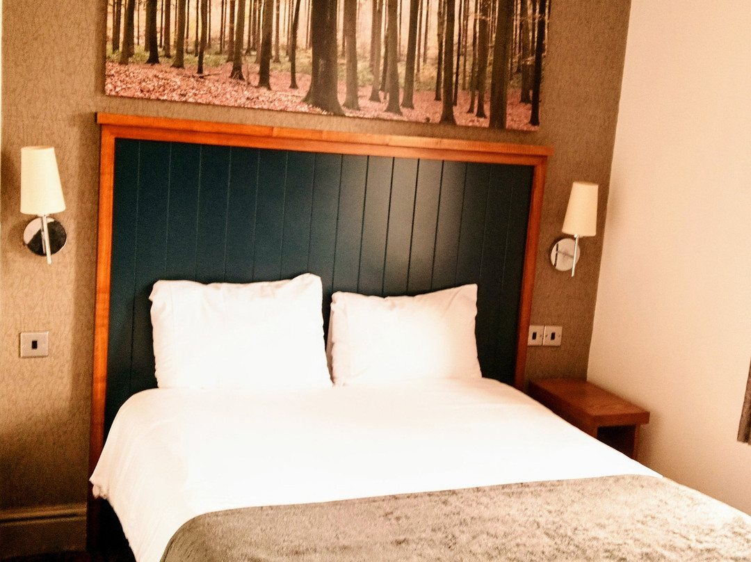 White Rabbit Hotel主图