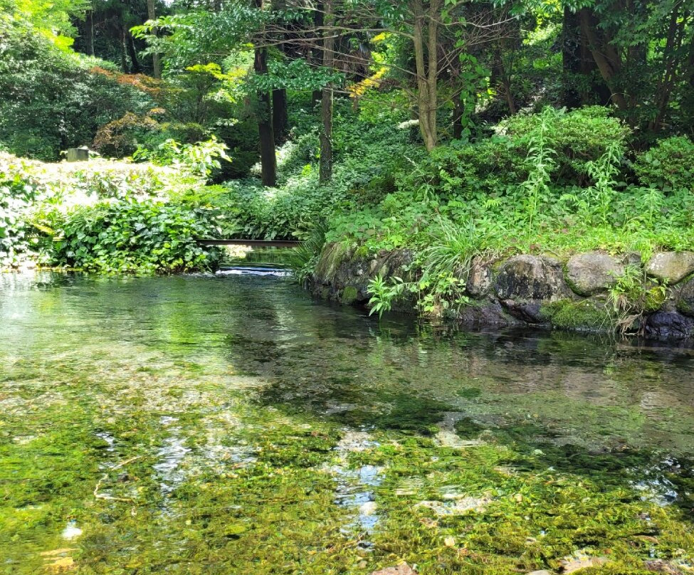 Shirakawa Springs景点图片