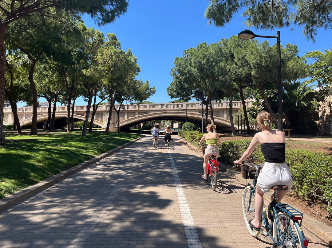 BikeAlao - Bike Rental and Tours in Valencia景点图片