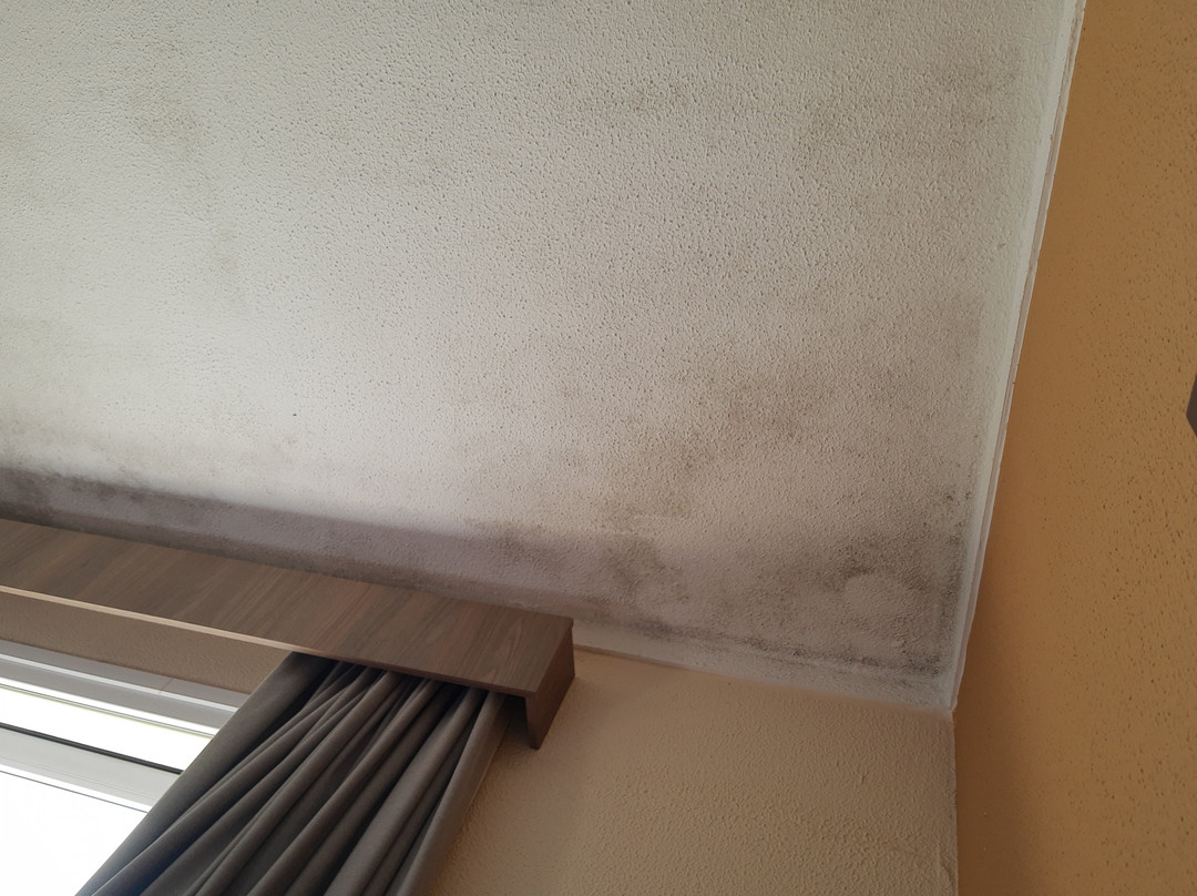 Hotel 10 Blumenau主图