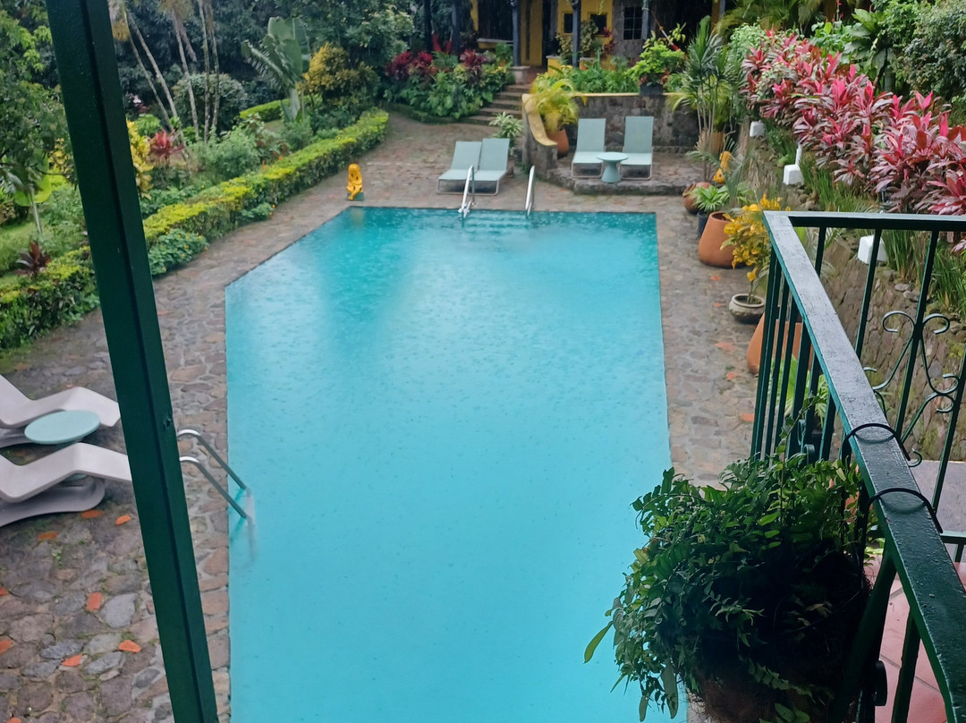 The Golden Frog Inn主图