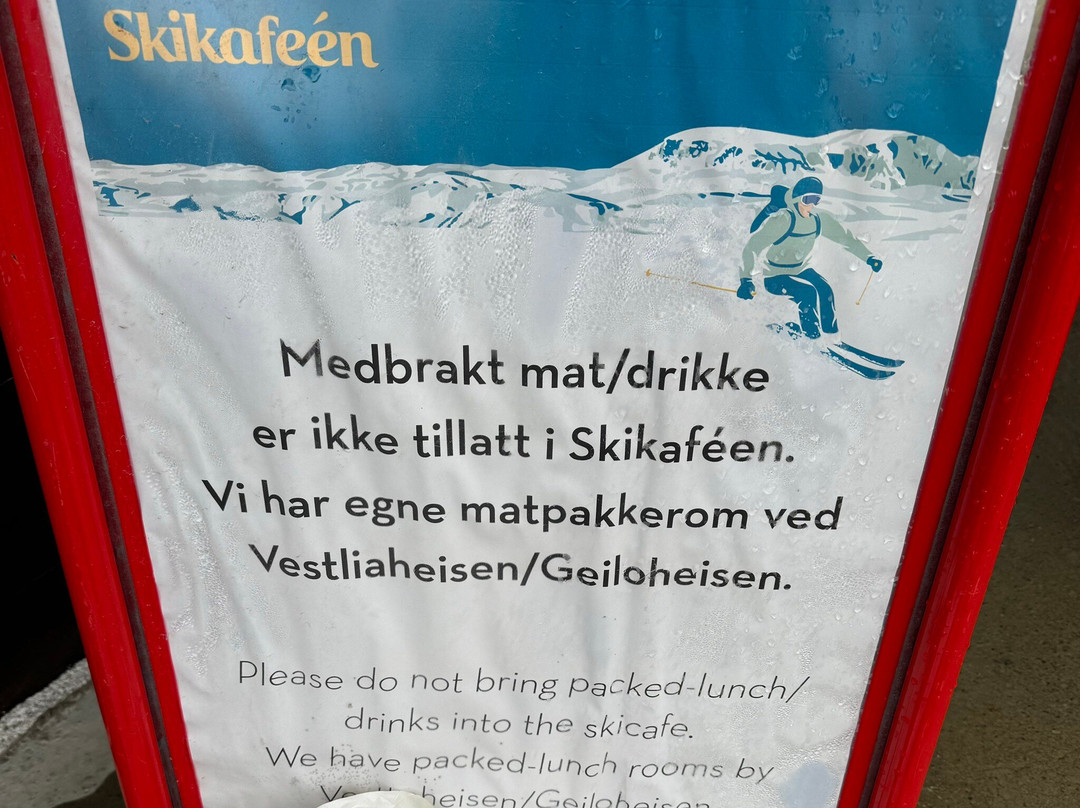 Skigeilo Aktivitetspark景点图片