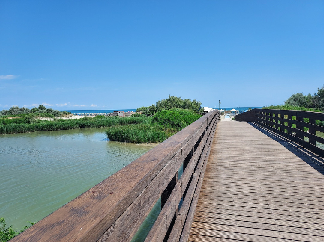 Spiaggia Boccasette景点图片