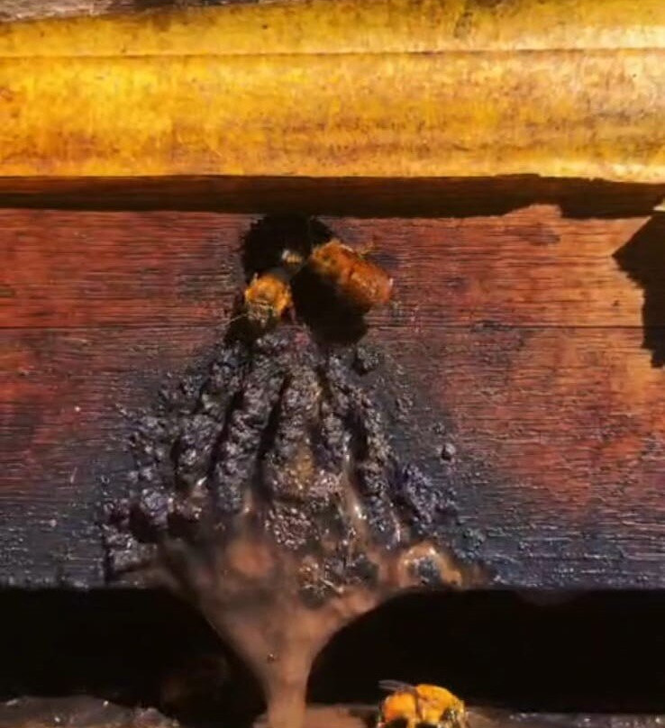 Experiências Da Colônia-Nova Petropolis必去景点