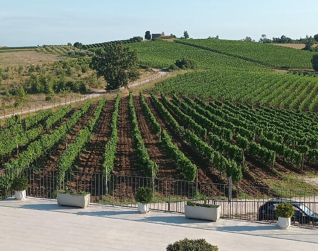 Wine Residence Cattunar主图
