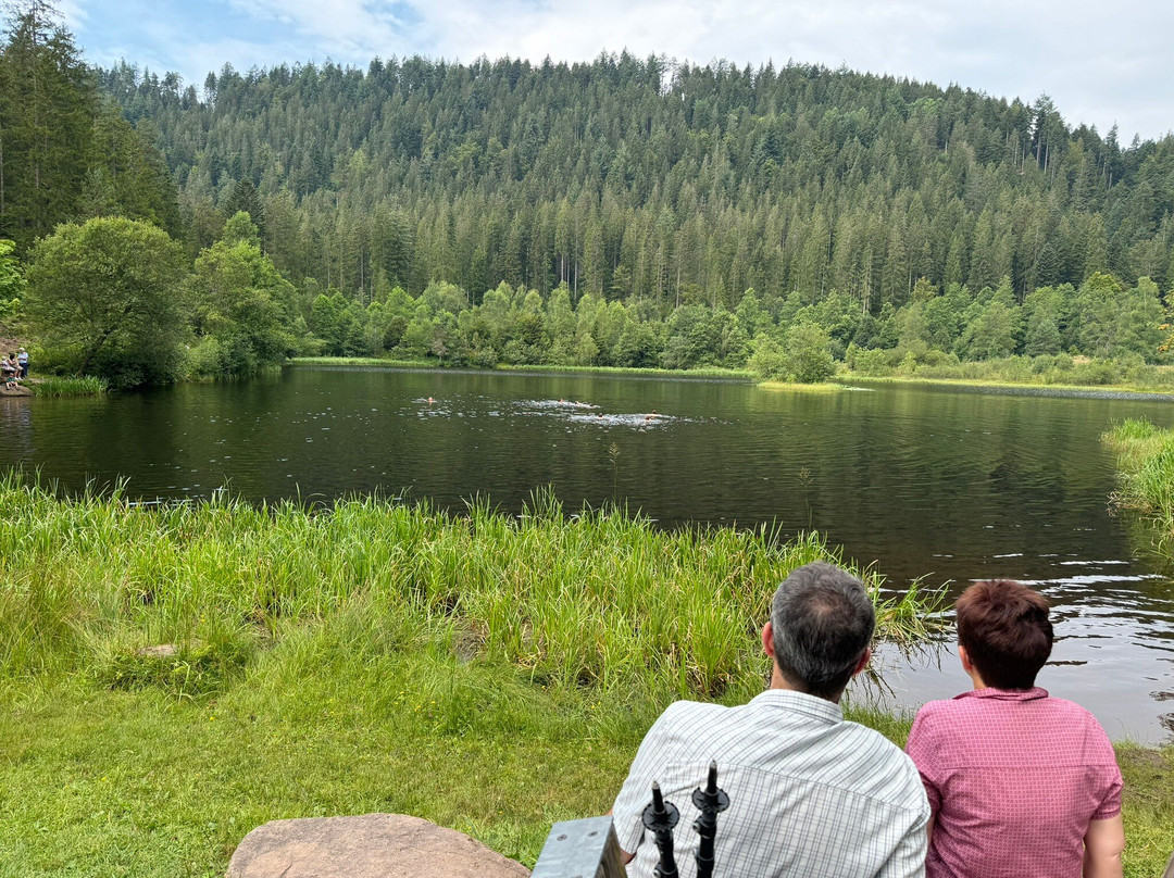 Nationaal park Schwarzwald-Seebach必去景点