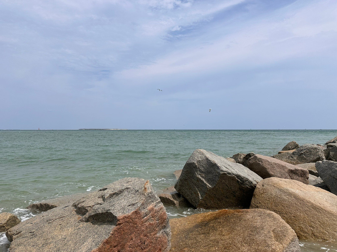 Hampton Inn Havelock主图