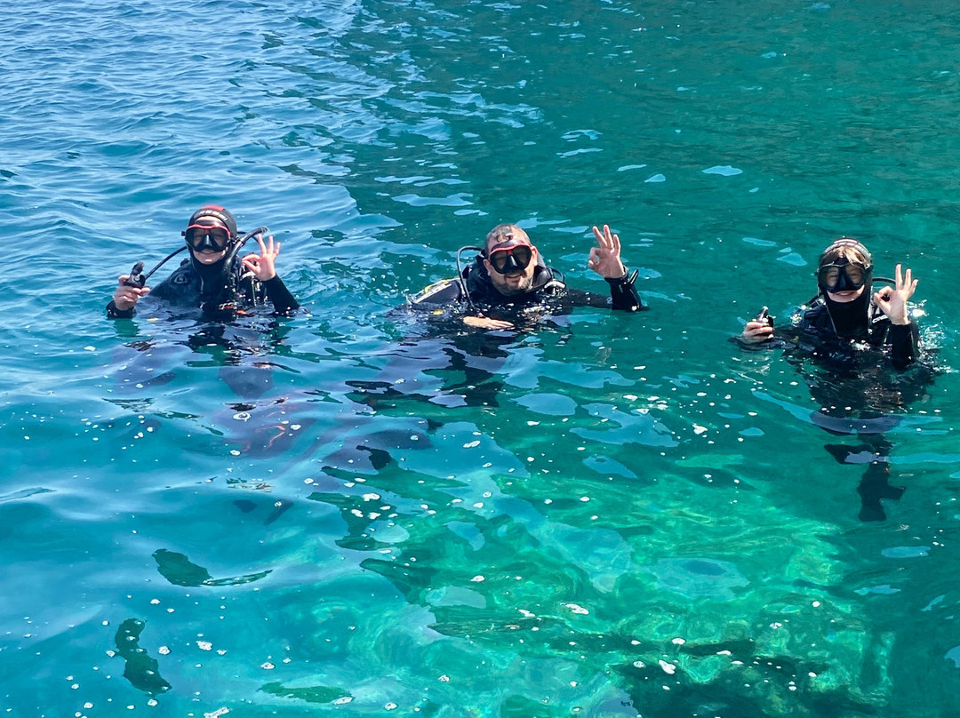 Diving Alghero-阿尔盖罗必去景点