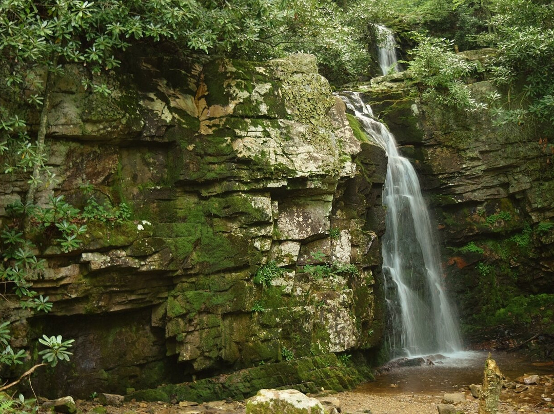 Gentry Creek Falls景点图片