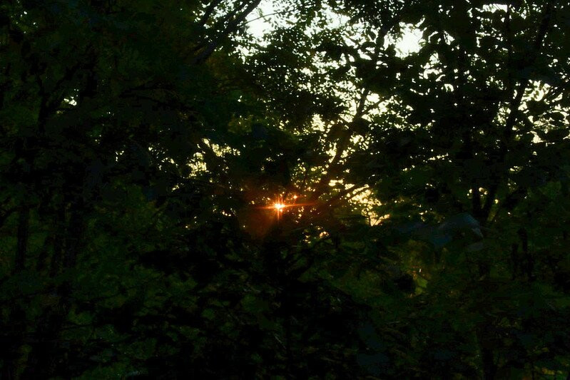 The Garden Inn主图