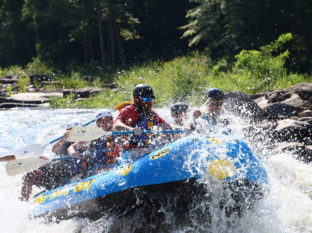 Wildwater Rafting - Ocoee-Ducktown必去景点
