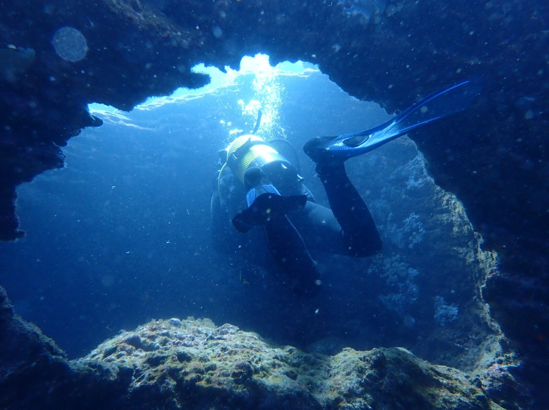 Azores Sub Dive Center-Vila Franca do Campo必去景点