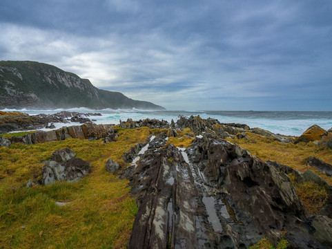 BokBus Garden Route Adventure Tours - Day Tours-木湾必去景点