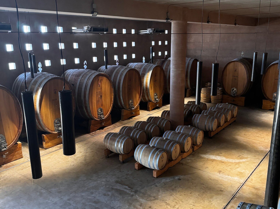 Mandrarossa Winery-Menfi必去景点