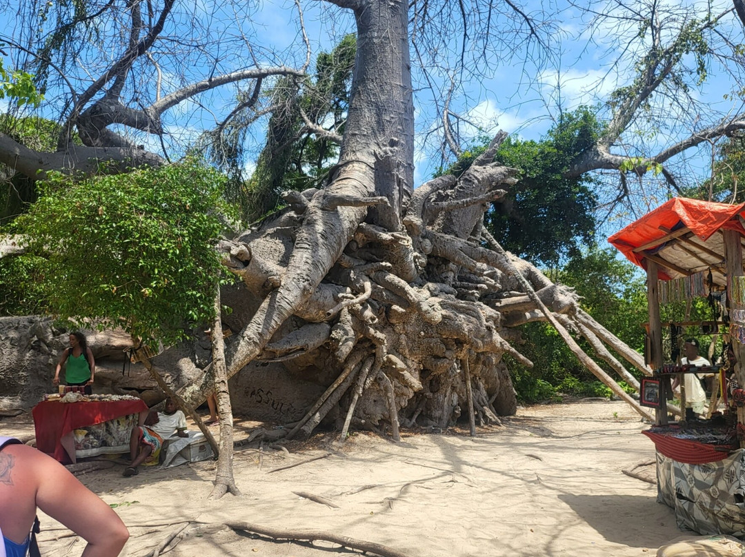 Zan Abal Tours & Safaris景点图片