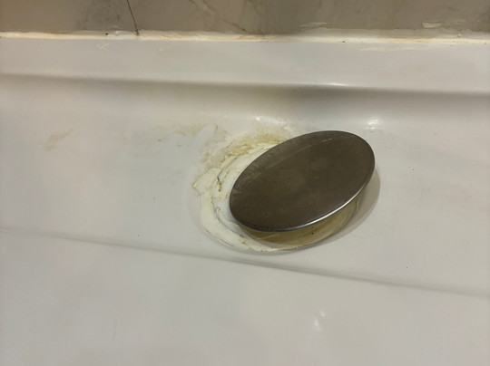 Paloma Foresta主图