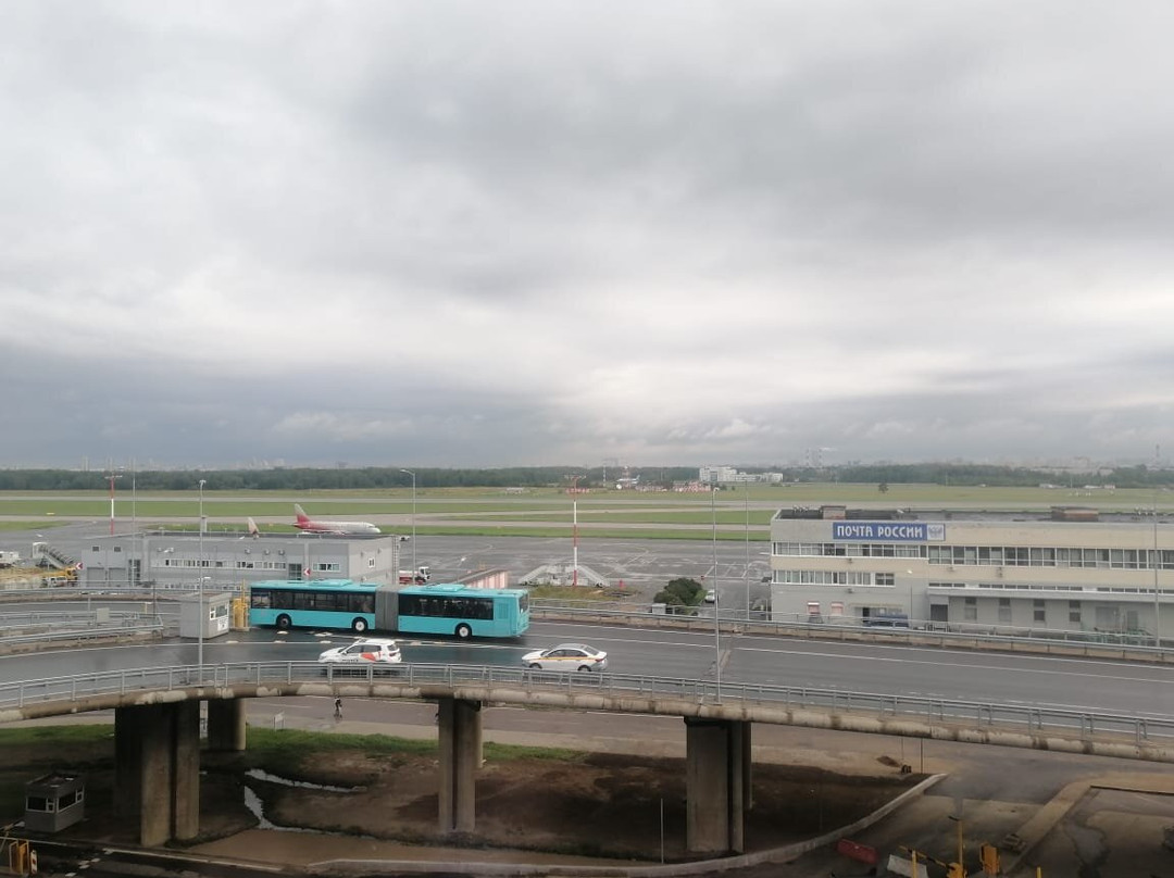 Cosmos Saint-Petersburg Pulkovo Airport Hotel, a member of Radisson Individuals主图