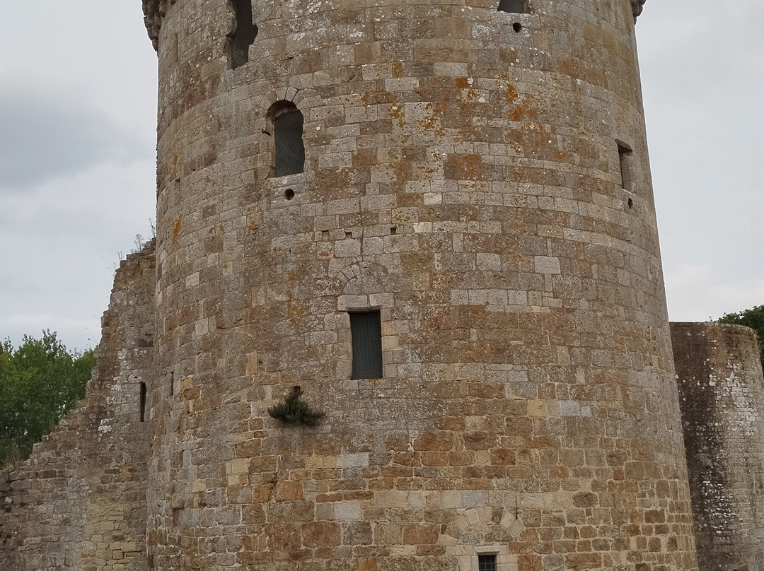 Chateau de la Hunaudaye景点图片