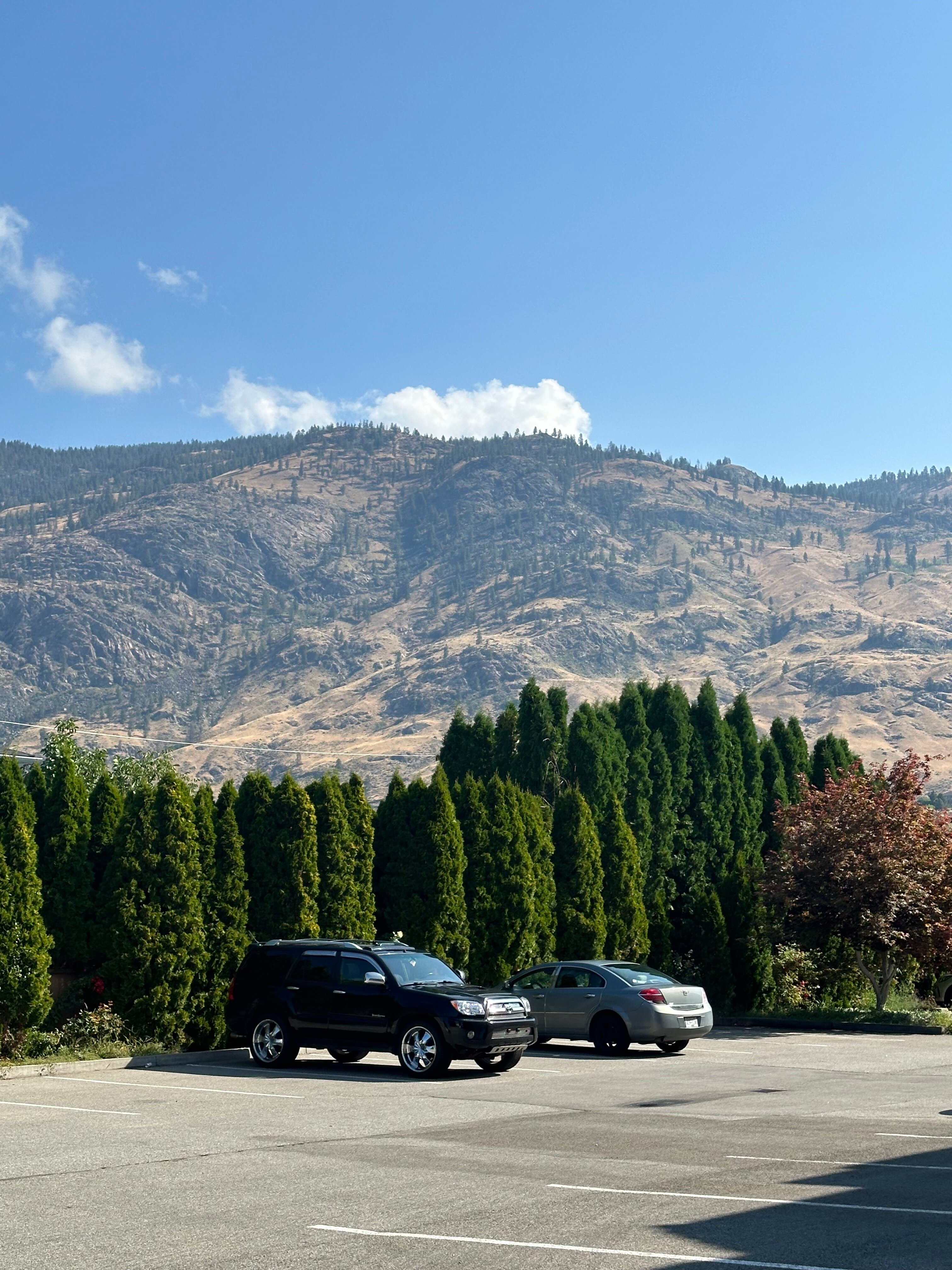 Best Western Plus Osoyoos Hotel & Suites-酒店景观