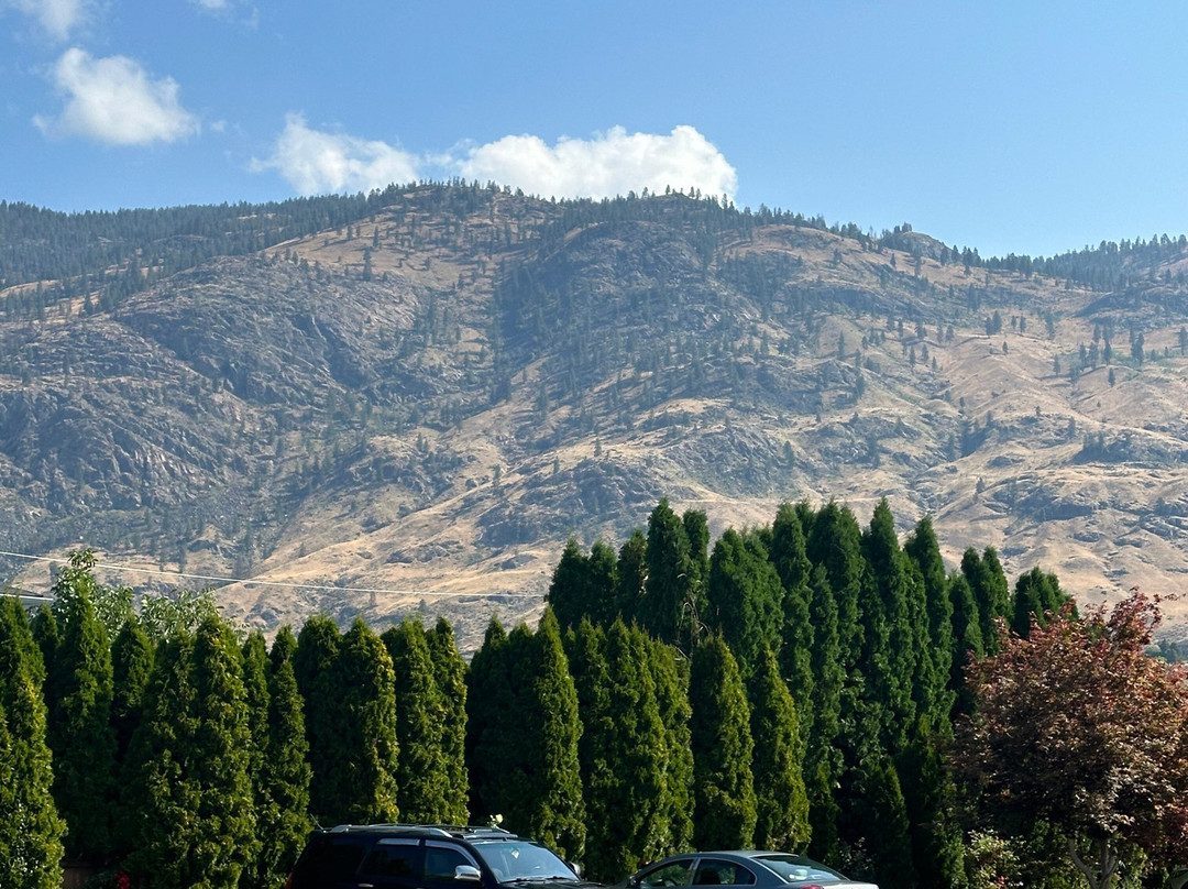 Best Western Plus Osoyoos Hotel & Suites主图