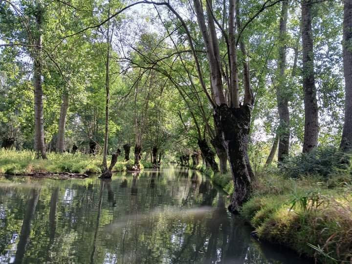 Embarcadere Cardinaud - Marais poitevin景点图片