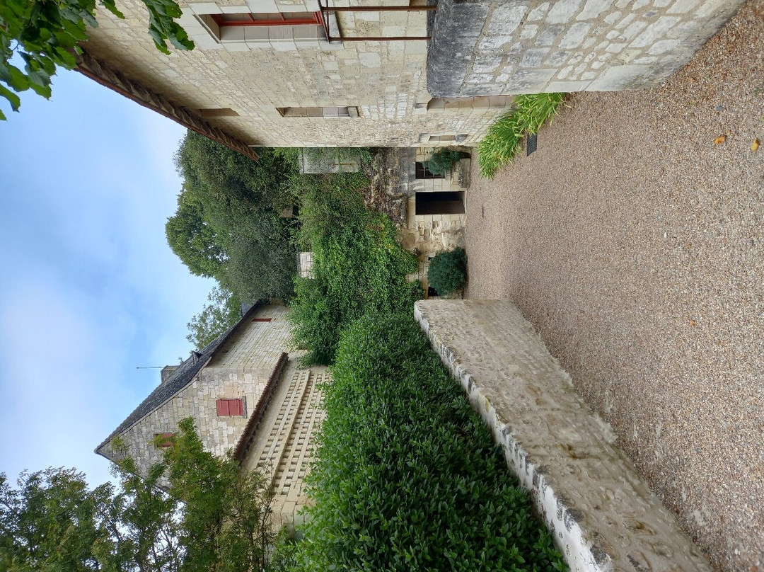 Musee Rabelais景点图片