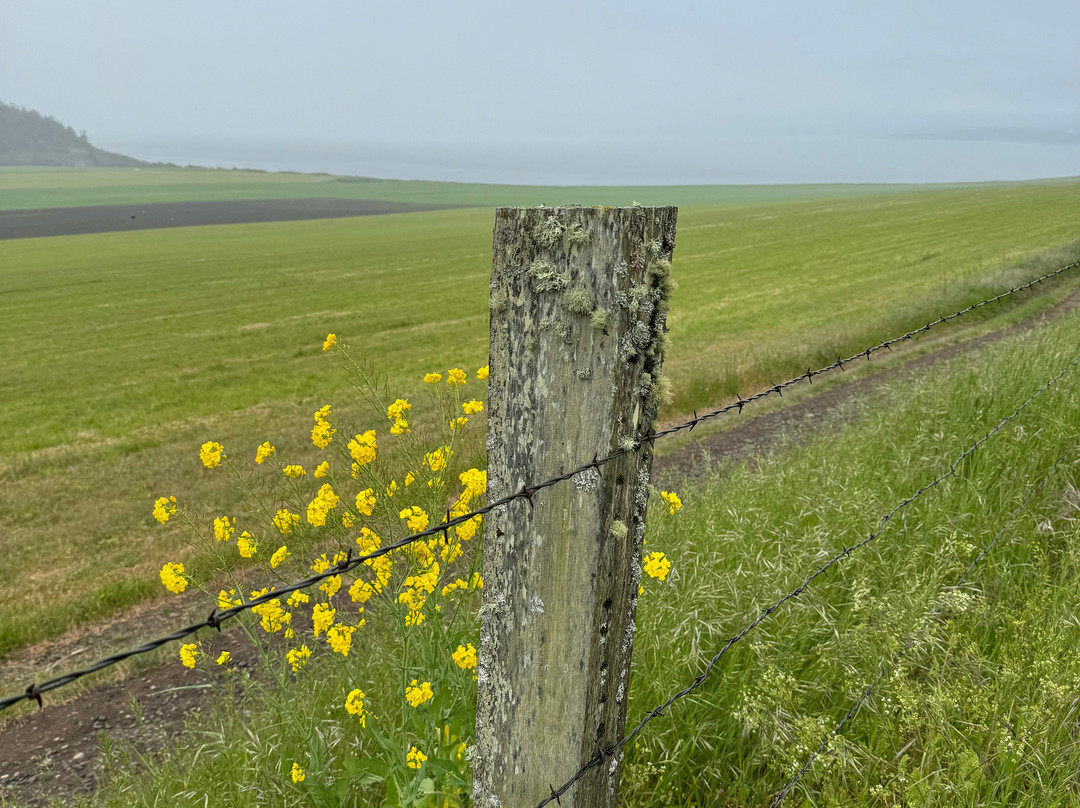 Ebey's Landing National Historical Reserve景点图片