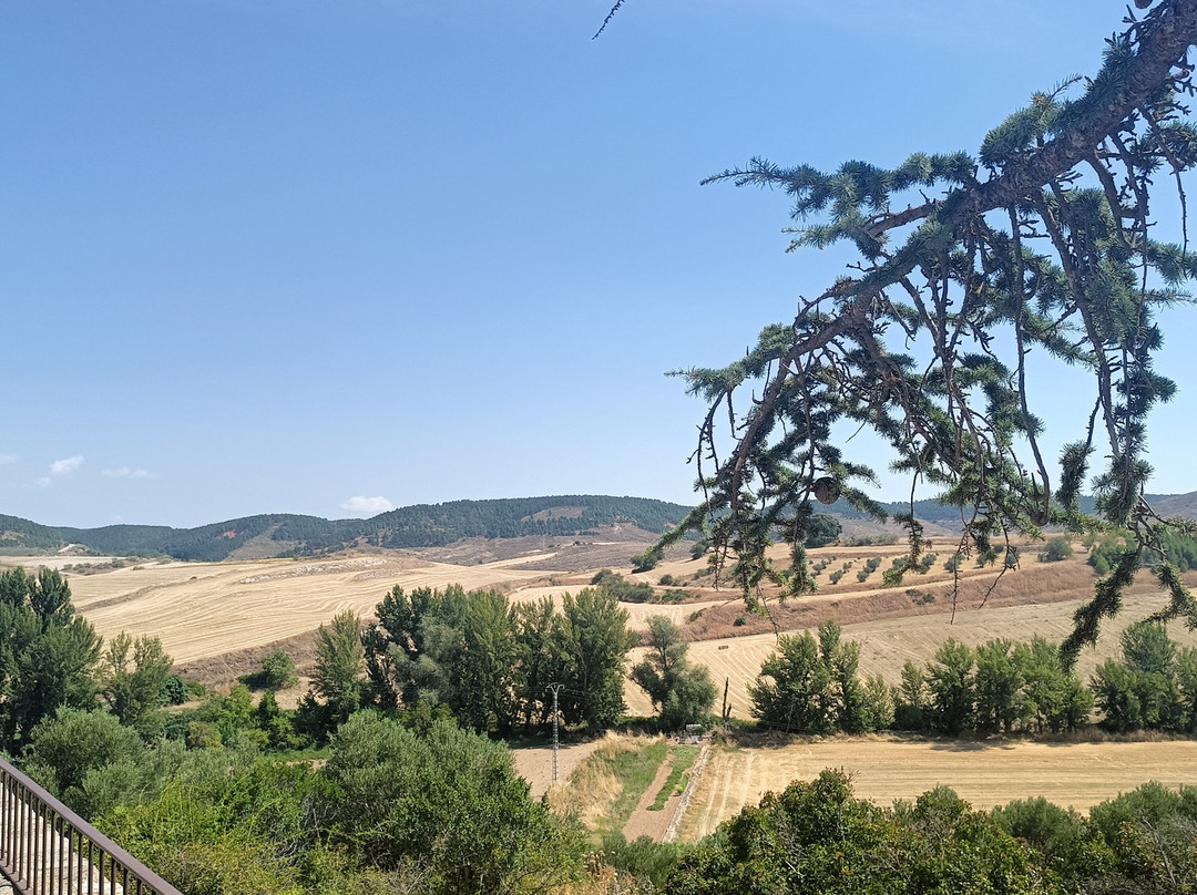 Bodegas Convento Cogolludo景点图片