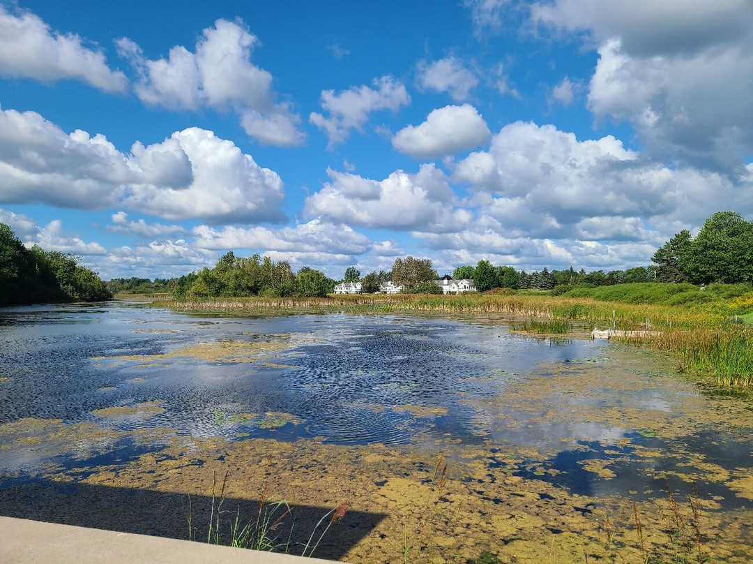 Island Park & Wildlife Sanctuary景点图片