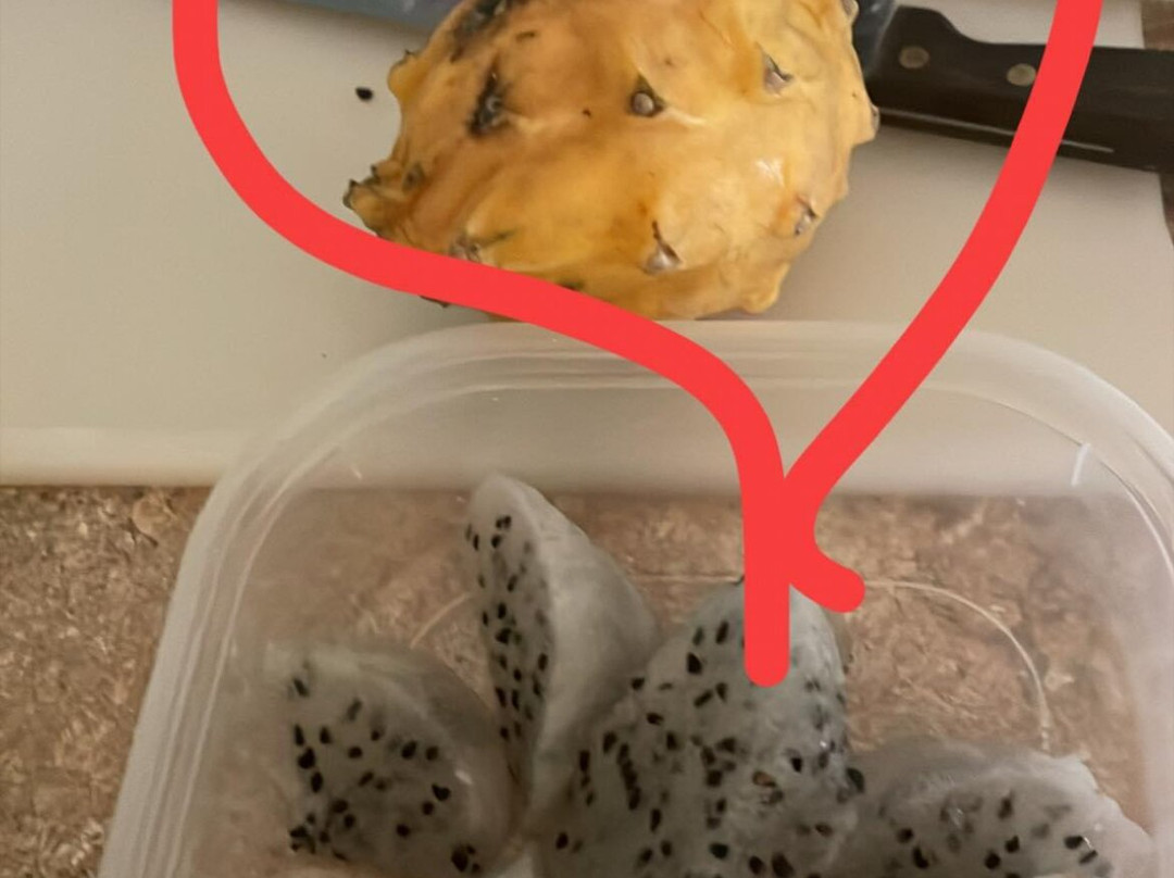 Grimal Grove-Big Pine Key必去景点