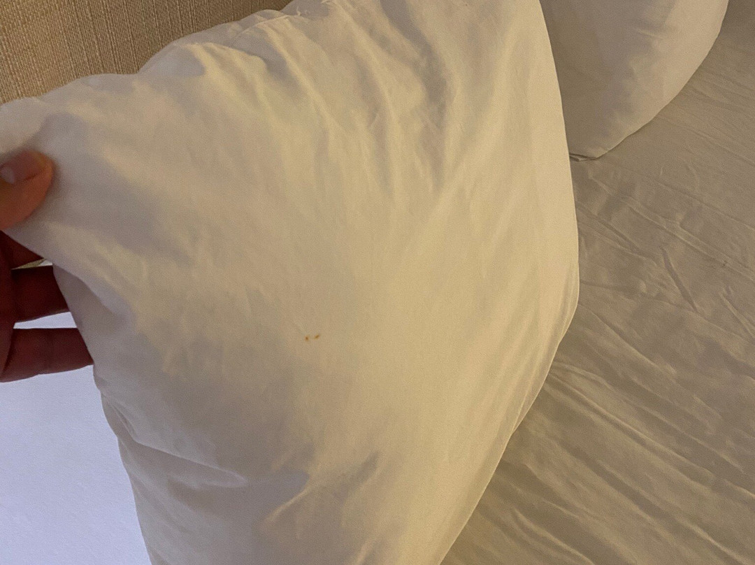 贝斯特韦斯特山区旅馆主图