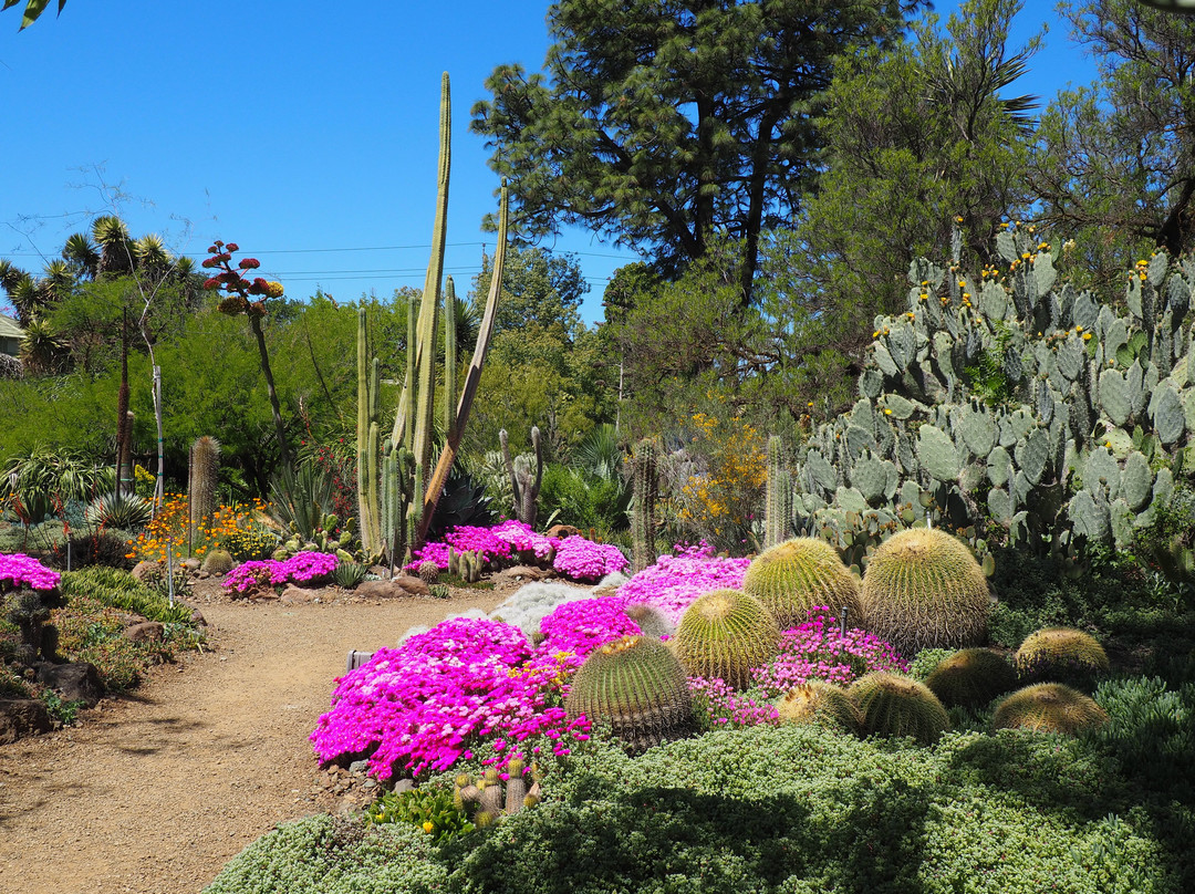 The Ruth Bancroft Garden