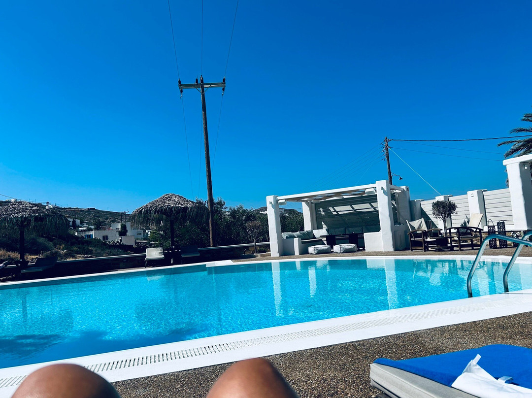 Olga's Pension主图